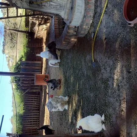 Residenz Heaven 41r By Interhome Apartament *