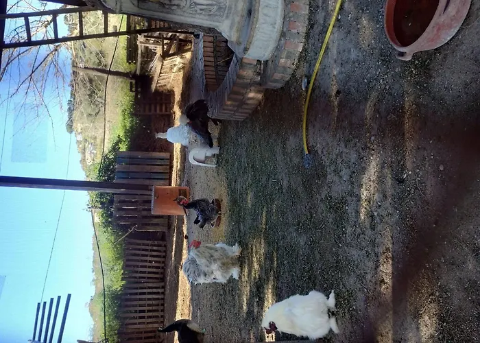 Residenz Heaven 41r By Interhome Apartament *